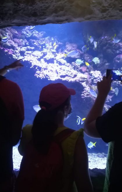 Gita all'acquario